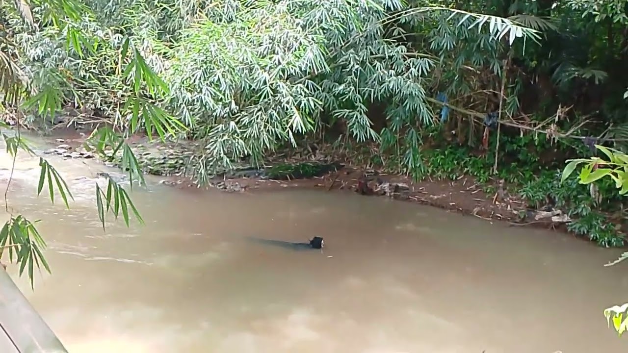 petualang sedang merapikan jaring tiba2 datang hantu air