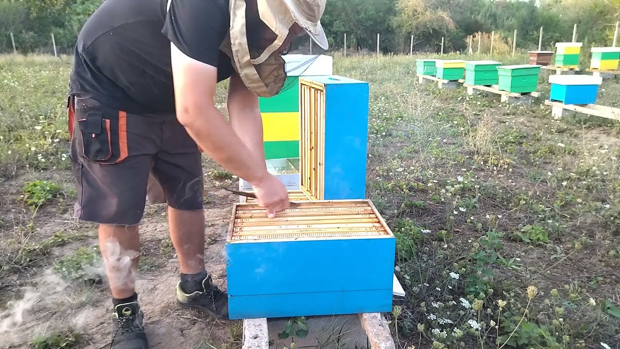 8р. фарар 27.08.2022.