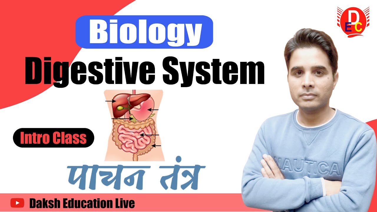 Digestive System of Human Body l Biology intro class