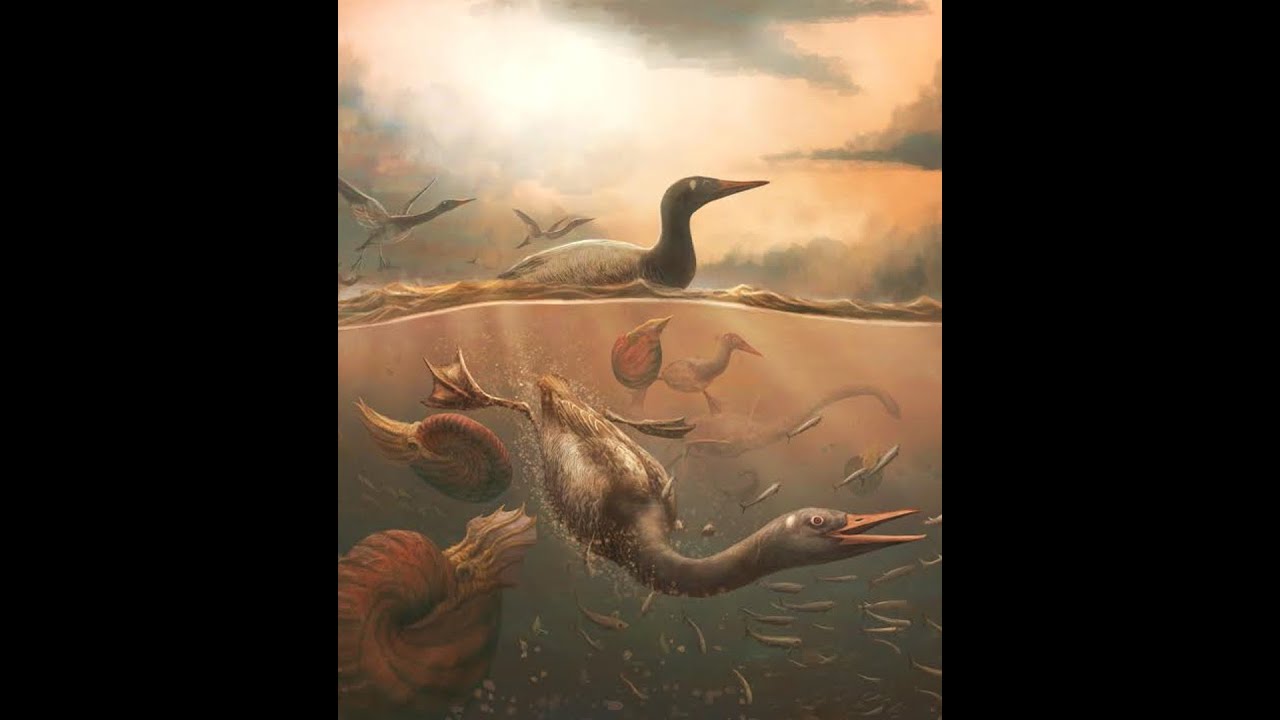 Birds Through the End - Cretaceous Mass Extinction with Prof. Christopher Torres
