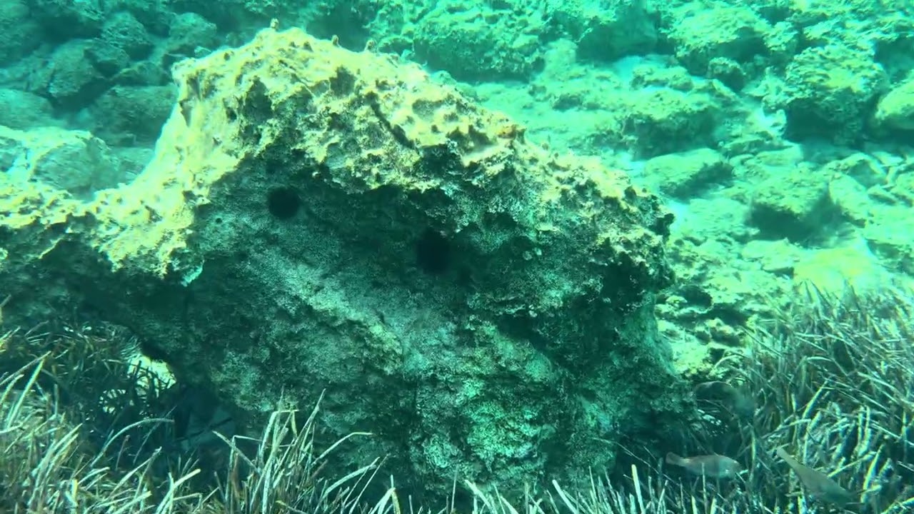 skyropoula dive
