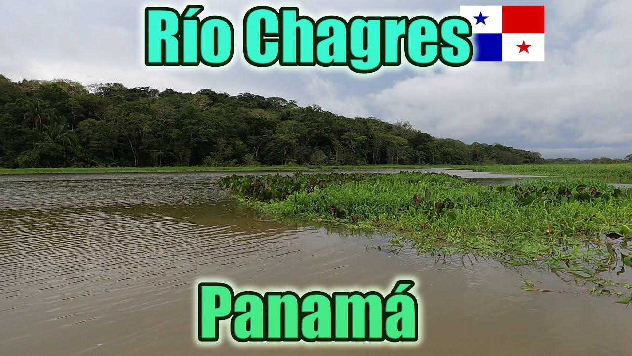 Paseo en barco por el río Chagres. Panamá Gamboa. Tierras comunitarias Ella Puru Aremba 4k UHD