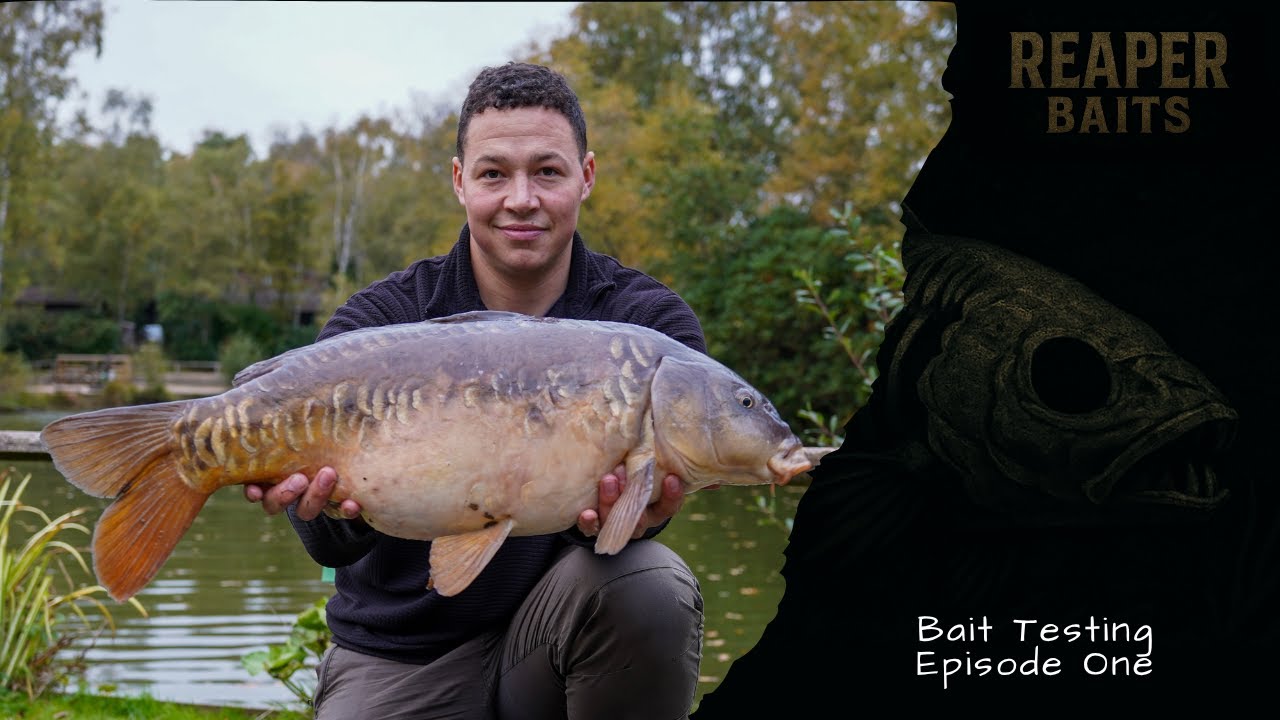 Тестирую собственную наживку для карпа — результаты меня шокировали!