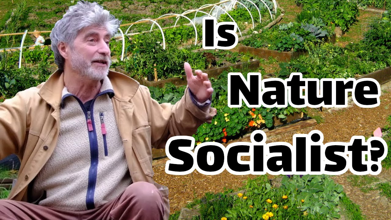 Спрашиваем левшей о сельском хозяйстве