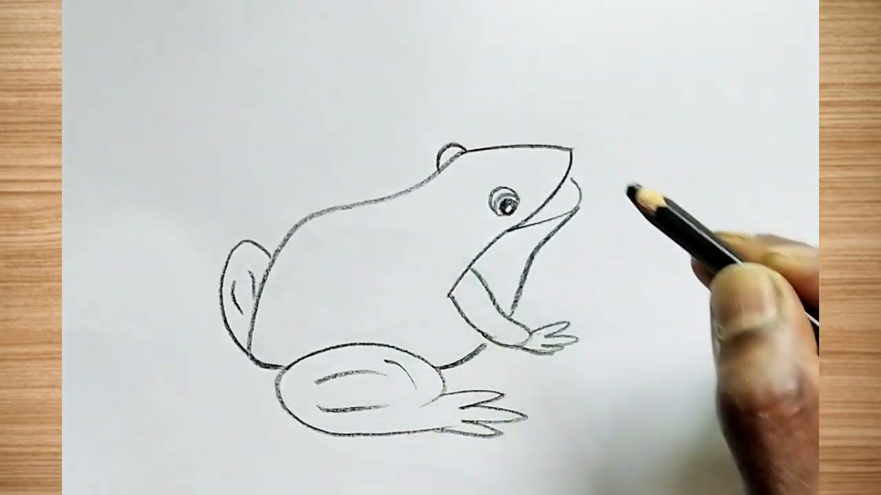 How to draw frog drawing easy step by step || frog drawing@aaravdrawingcreative1112 