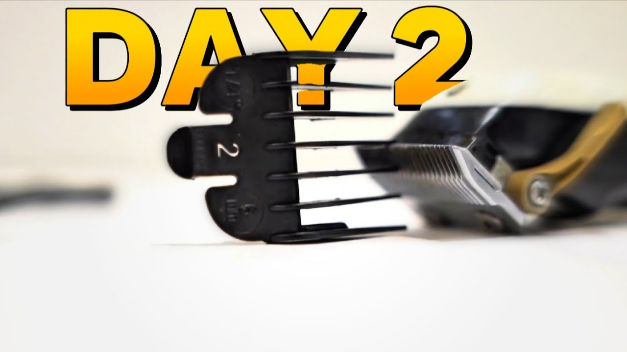 The ONLY Clipper Guard Video You'll Ever Need! (MUST WATCH)!!