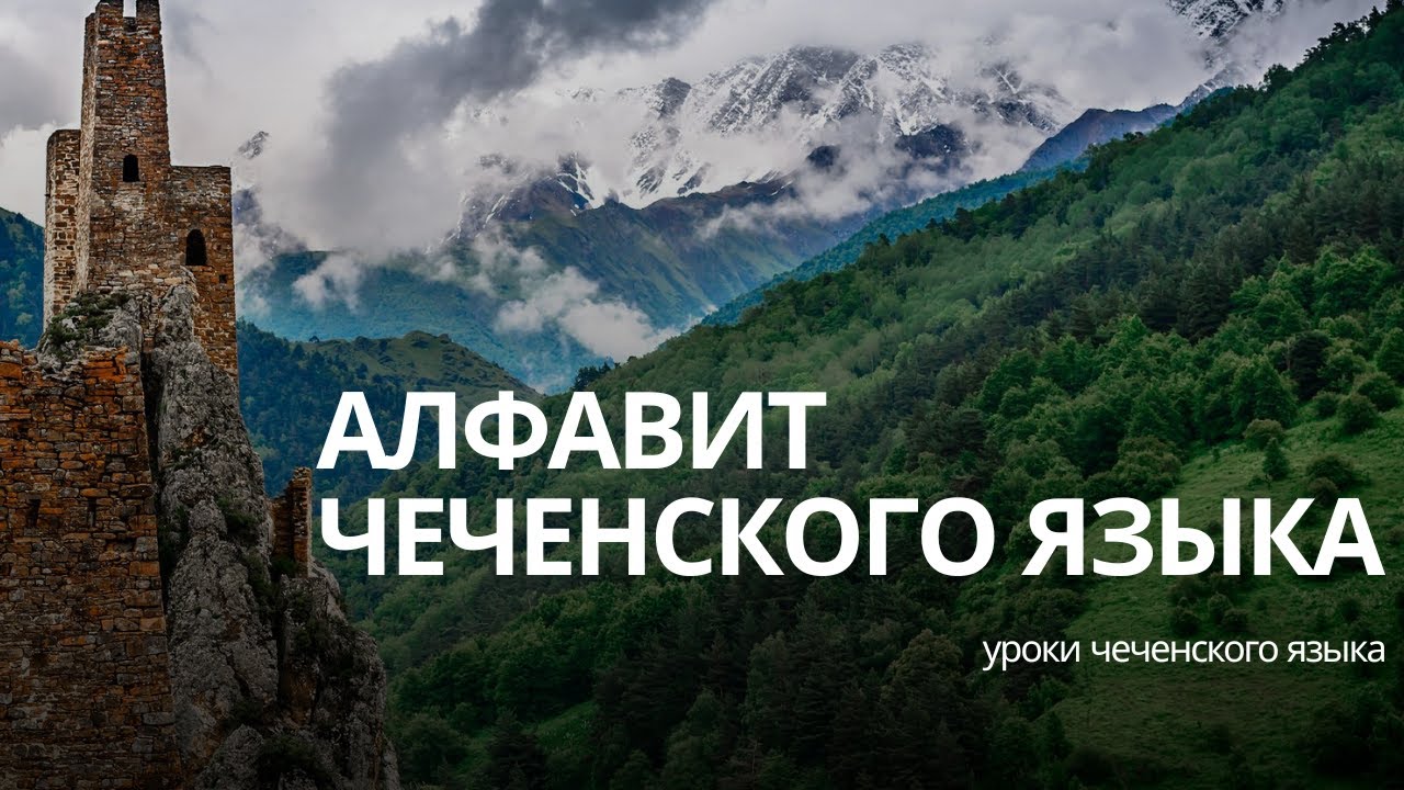 АЛФАВИТ ЧЕЧЕНСКОГО ЯЗЫКА | Урок 1
