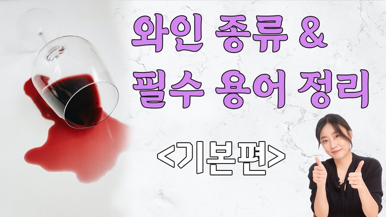 [기본 와인 용어] 실생활에 도움 되는 와인 종류와 필수 용어 정리!! (로제와인부터 최고 빈티지 추천까지)