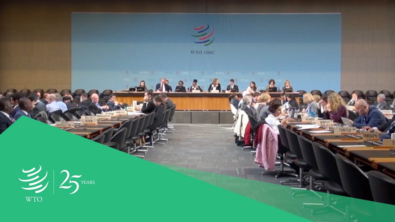 WTO SPS Committee &ndash; Chairpersons' reflections on its 25th anniversary 3/6