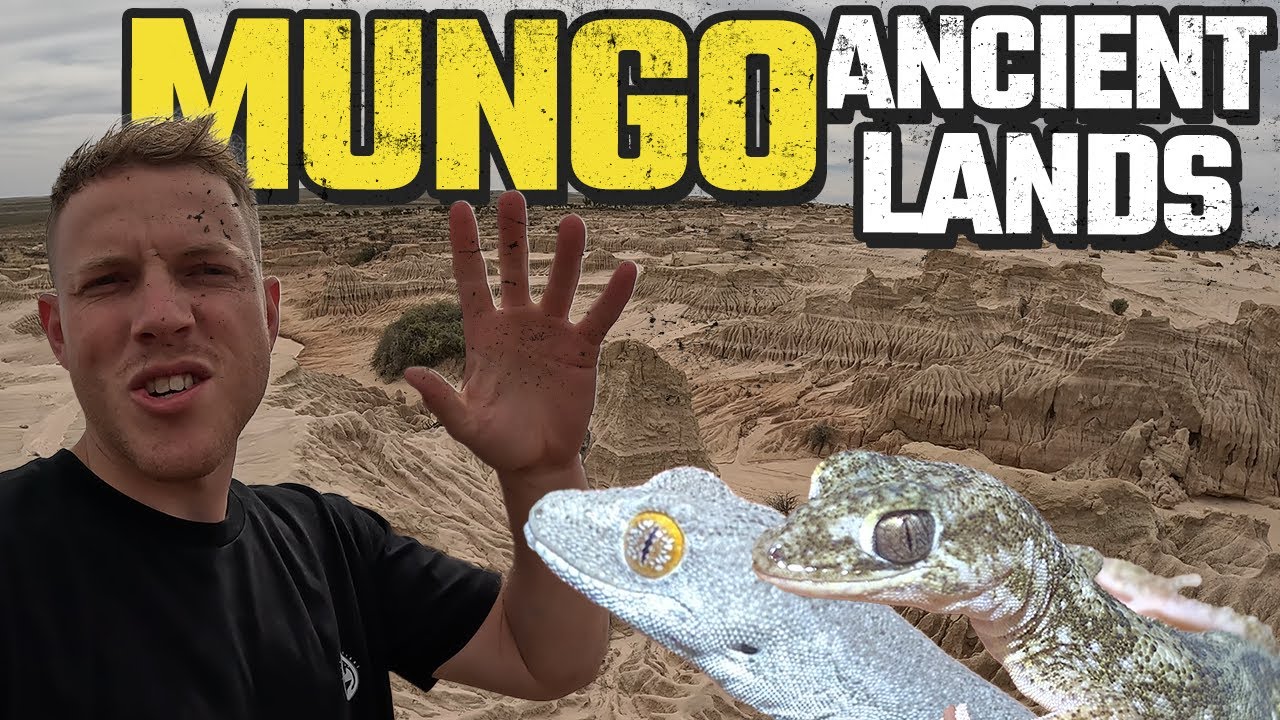 EXPLORING MUNGO NATIONAL PARK & FINDING REPTILES | HERPING THE NSW MALEE EP #1