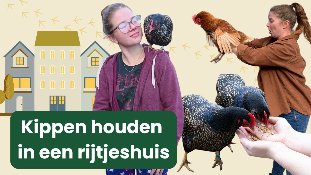 Kippen in een rijtjeshuis | De ECHTE voor en na delen van kippen houden