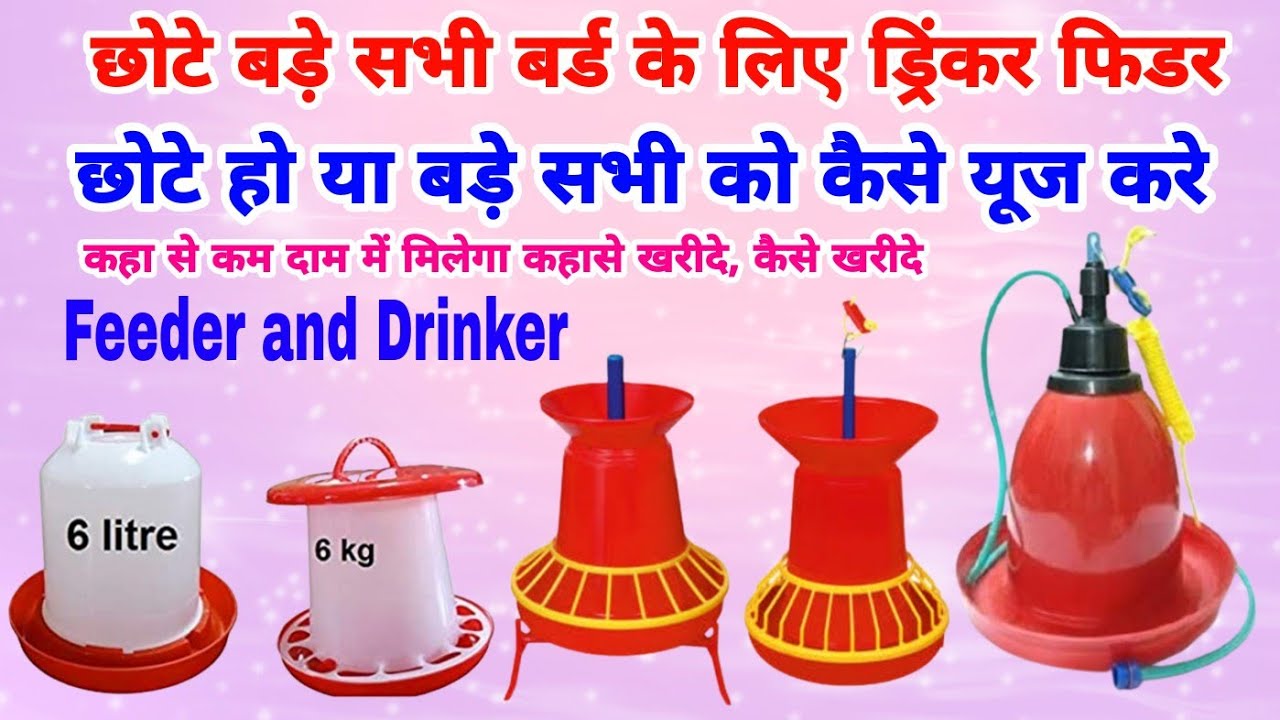 Feeder aur Drinkar ko kaise use Karen | poultry drinker and Feeder | छोटे बड़े सभी बर्तन को कैसे यूज