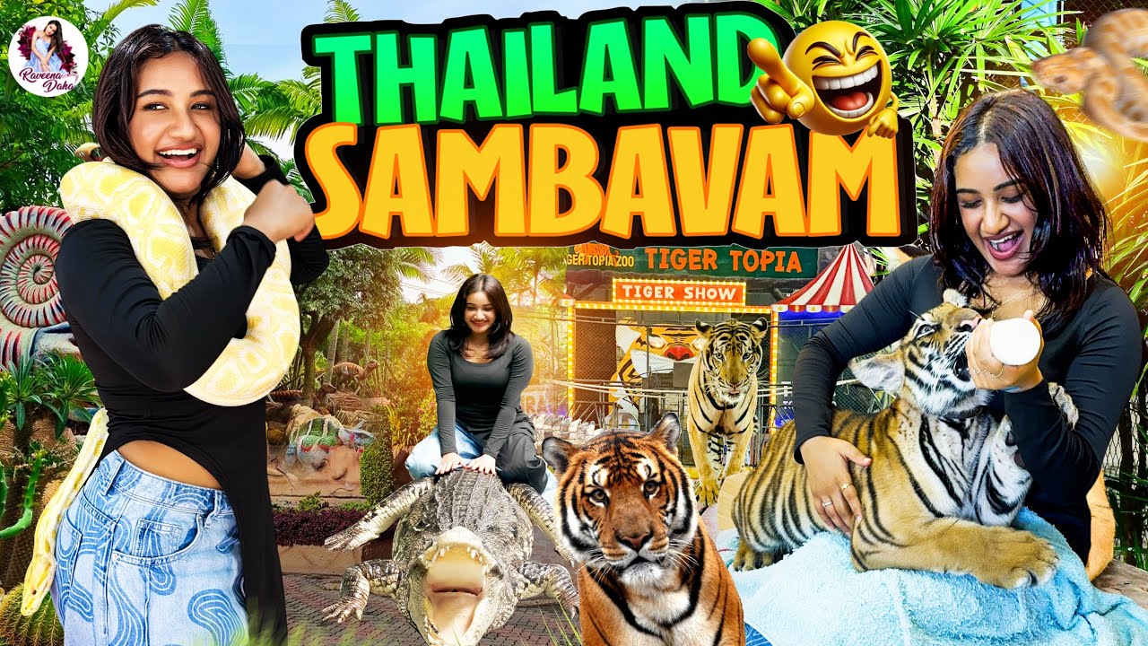 THAILAND SAMBAVAM 🐅 | Tiger Feeding, Crocodile Ride & Snake Fun at Tiger Topia! | Raveena Daha
