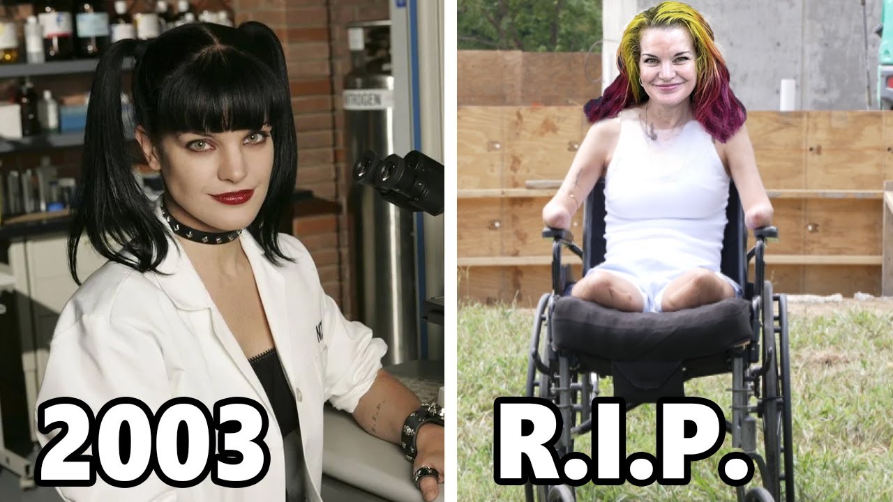 NCIS (2003) &ndash; Where Are All the Actors Now, and How Rich Are They in 2025?