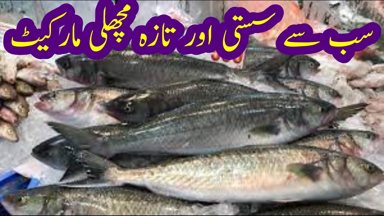 ؔ#FishMarket  #machhli mandi Lahore مچھلی منڈی لاہور #cheapest fishmarkeet #fresh fish markeet