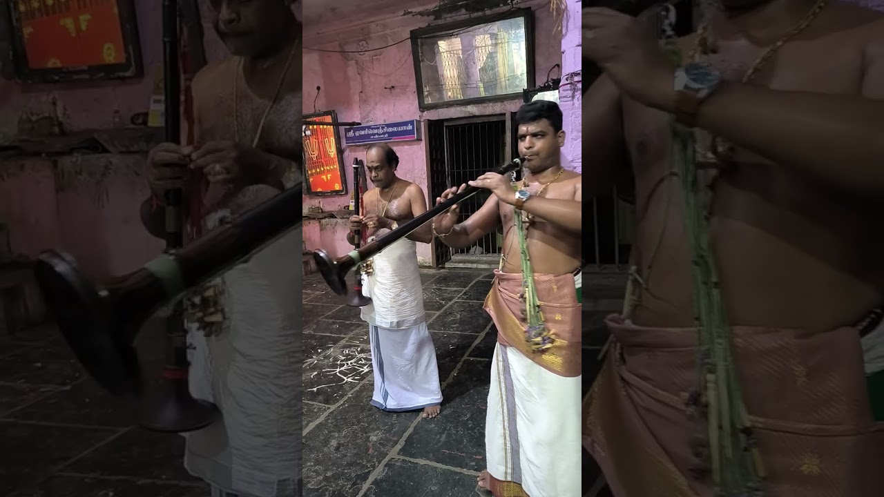 Thiruvali Thirunagari - Vasantha utsavam - Mylai karthigeyan Nadaswaram