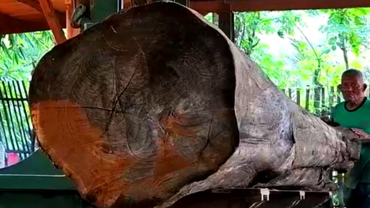Amazing most expensive woodcut in the world 