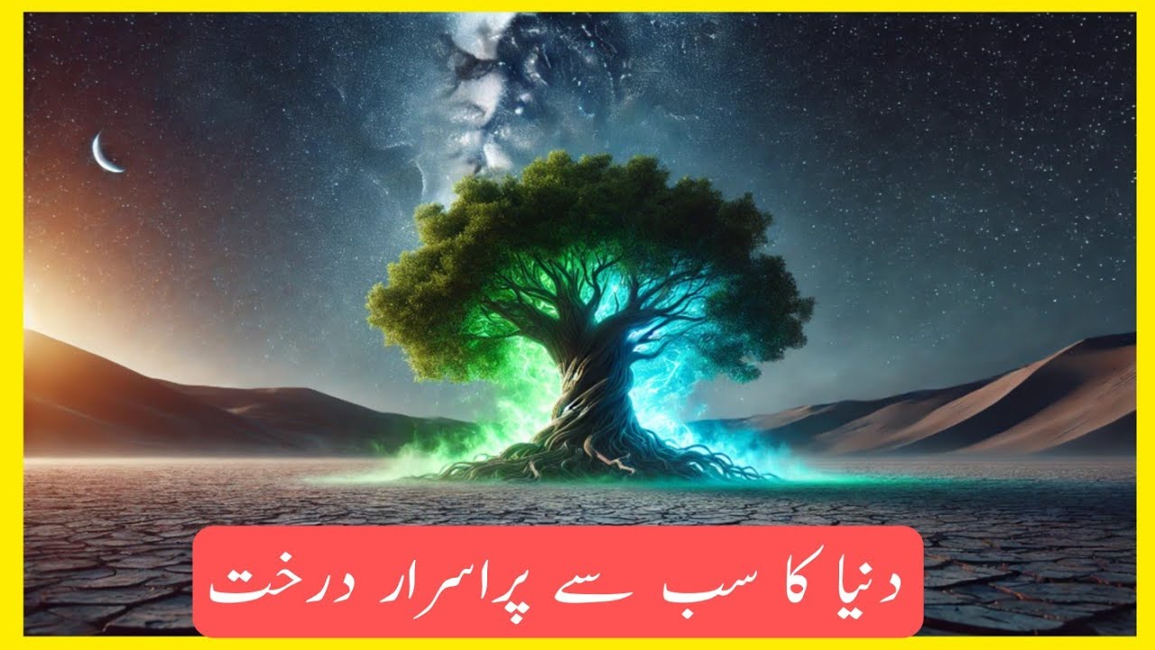 The Mystery of the Tree of Life: The 400-Year-Old Tree in the Desert That Baffles Scientists! 🌳✨"