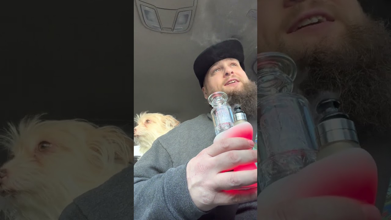 Carta dabs