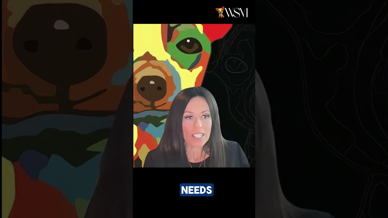 Why We Rebranded: The Evolution of WebSpark Media to WSM
