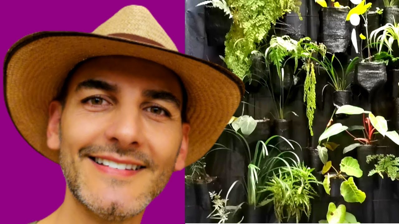 COMO HACER UN JARDIN VERTICAL | Jardín Vertical fácil  | jardines verticales | jardin pared facil