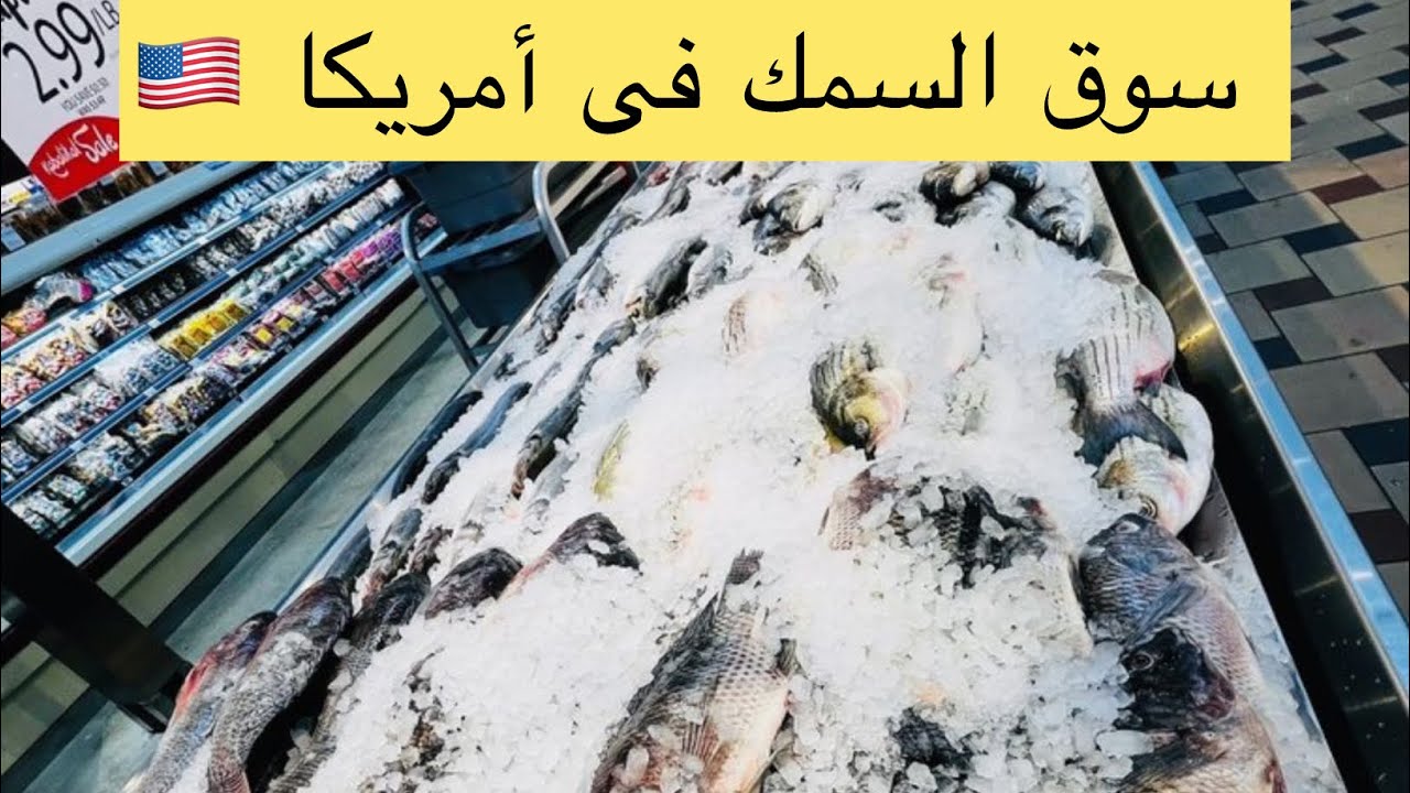 سوق السمك في أمريكا 🇺🇸