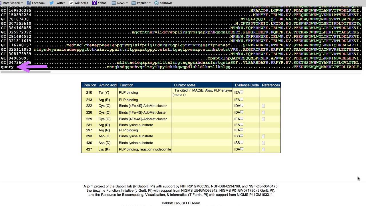 Using SFLD Search and Alignment Tools to Classify an Uncharacterized Enzyme