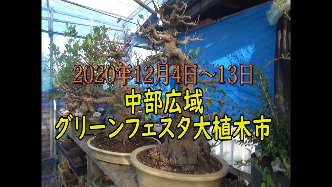 中部広域グリーンフェスタ大植木市[128]