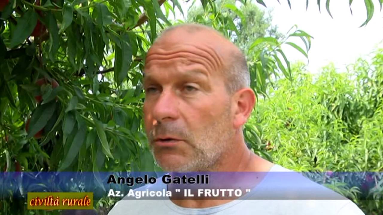 AZ. AGRICOLA - IL FRUTTO