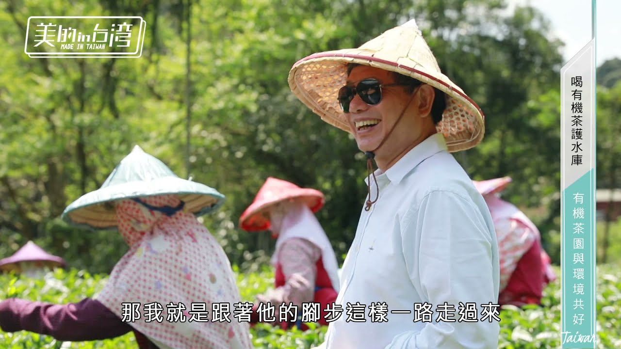 年代MUCH台 美的in台灣 慈心淨源茶【喝有機茶護水庫 有機茶園與環境共好】