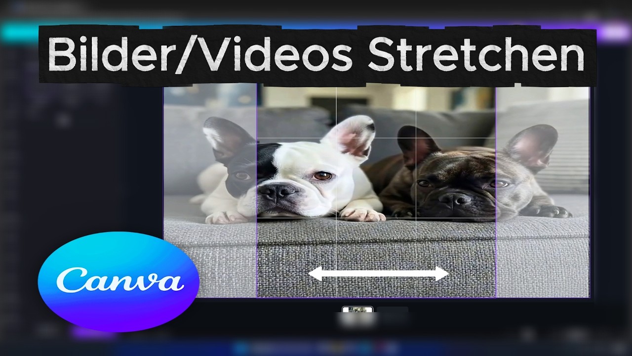 Bilder und Videos in Canva Stretchen - Schnell und Einfach!