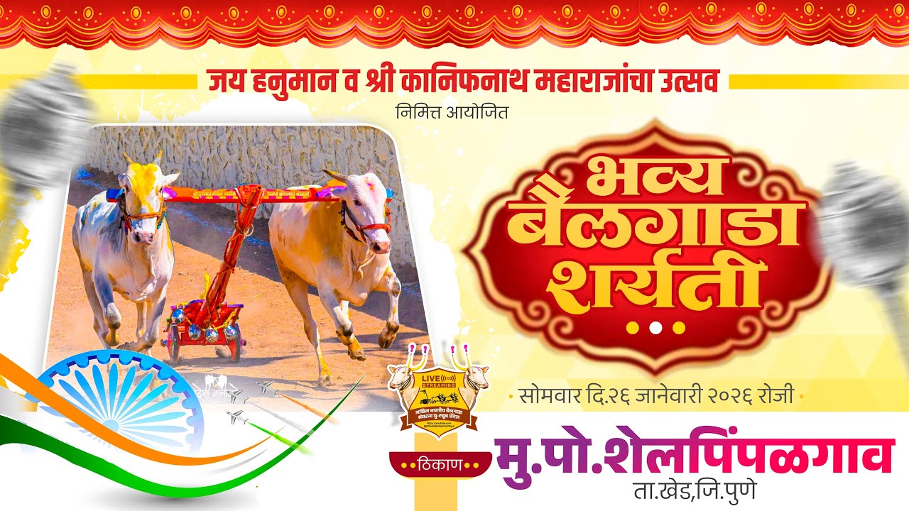 🔴Live:जय हनुमान व कानिफनाथ महाराजांचा उत्सव २०२६ | भव्य बैलगाडा शर्यत | पहिला दिवस | शेलपिंपळगाव