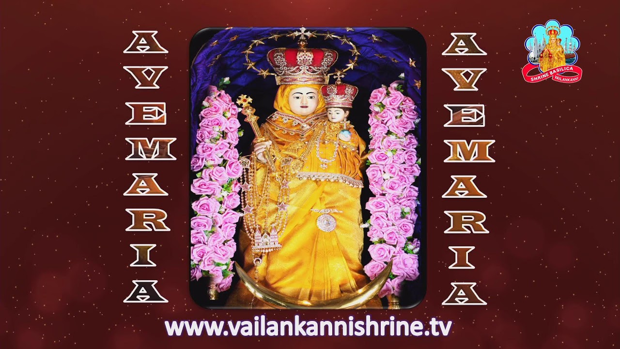 🔴 Live 20 February 2026 @ Vailankanni Shrine Basilica