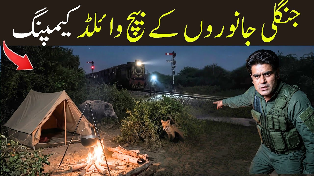 The Most Dangerous Night of My Life 😱 | Camping in Sindh Jungle