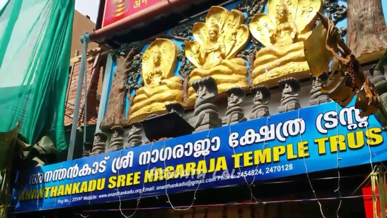 Ananthankadu Nagaraja Temple | Pongala | Thiruvananthapuram | 2020