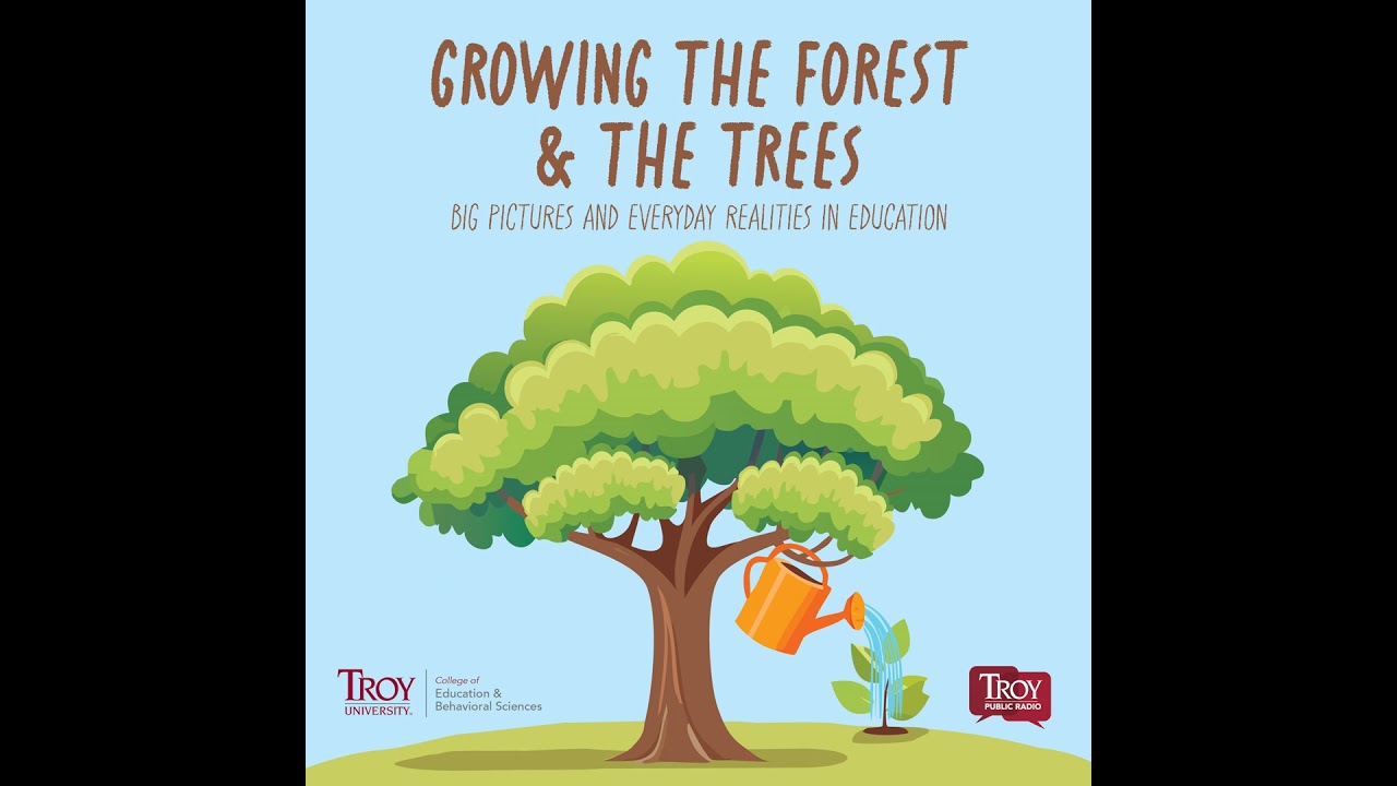 Embrace the Mess - Growing the Forest & the Trees - February 2026