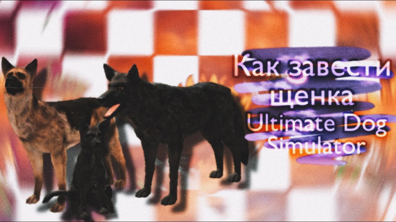 |LEO - MOON| - Как завести щенка в Ultimate Dog Simulator -
