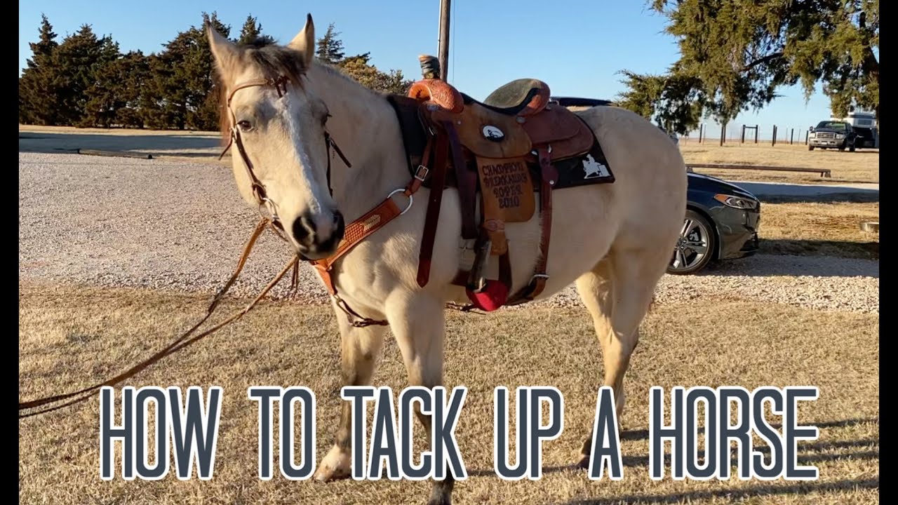 How to Tack up a Horse Western