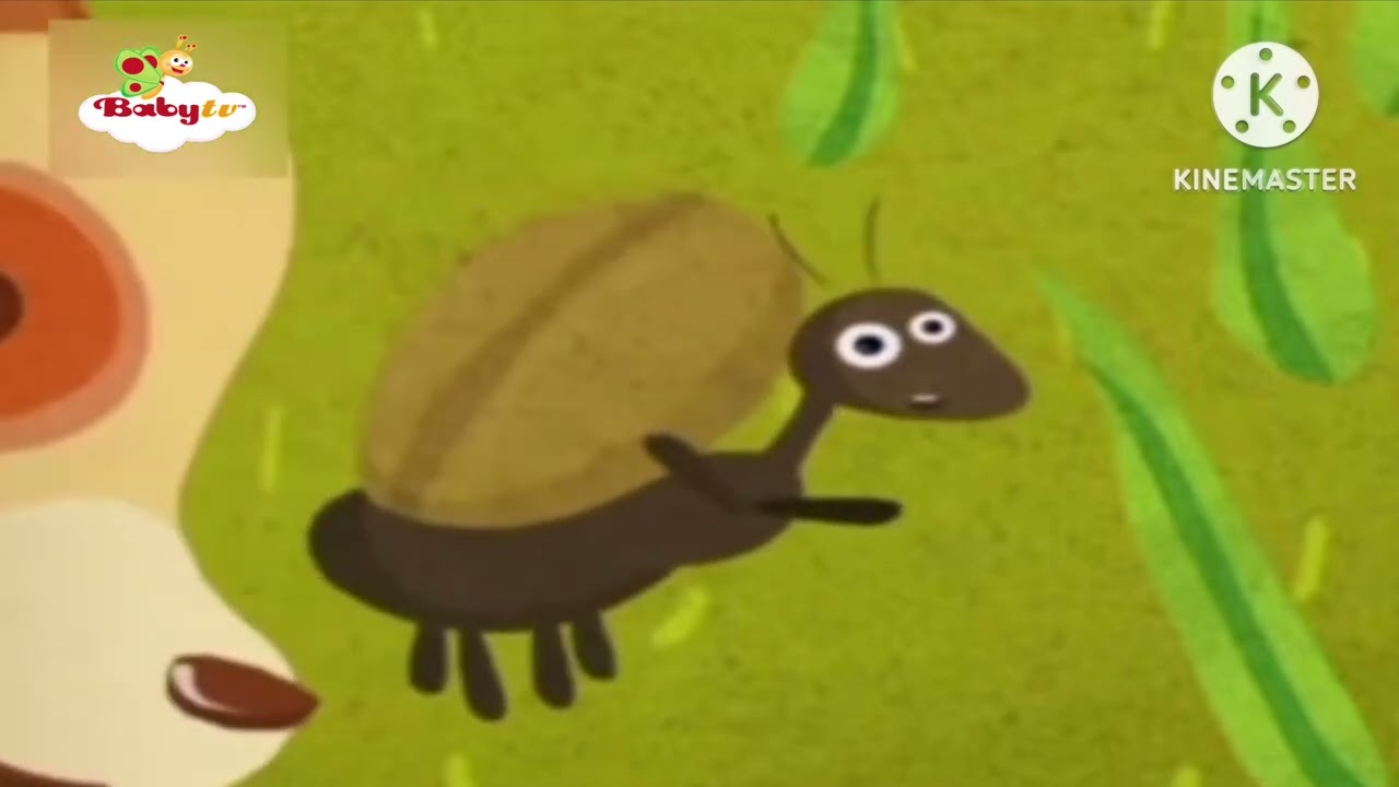 Baby tv wooly
