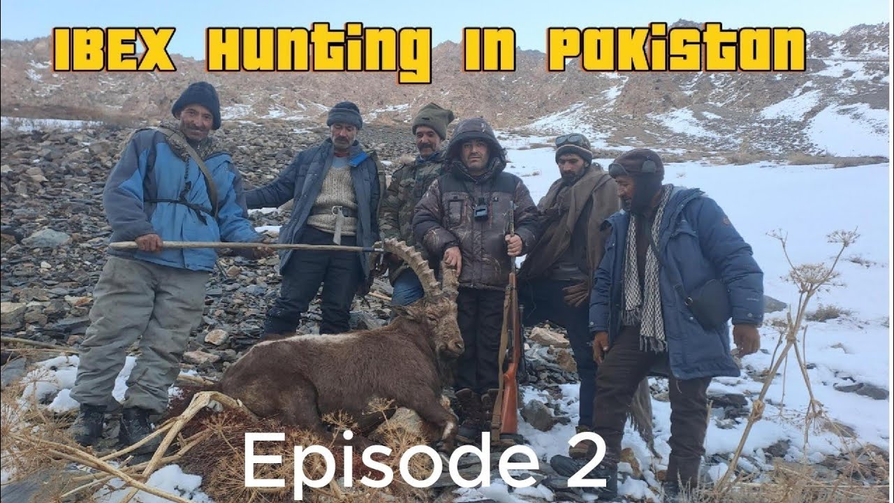 Ibex Trophy Hunting in Arkari Valley Chitral 🇵🇰 | Extreme Winter Hunt in Remote Pakistan (Episode 2)