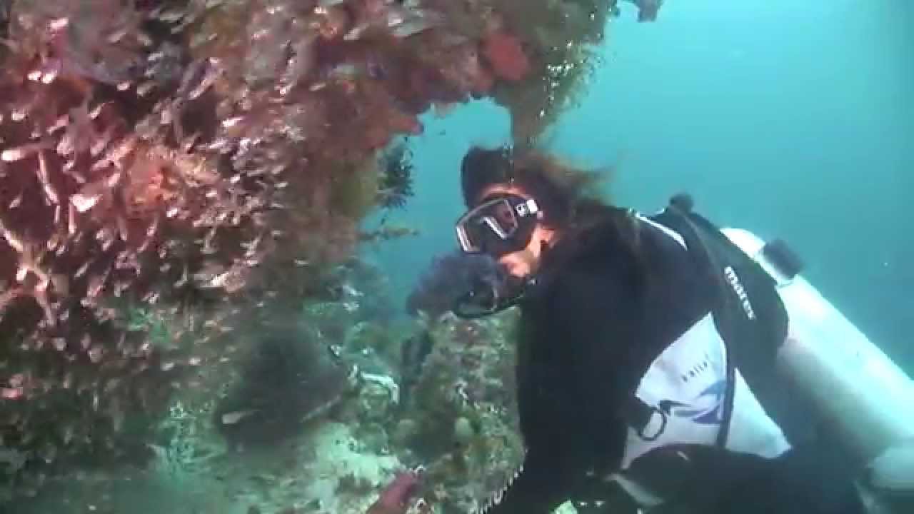 Nature TV - Diving Raja Ampat Part1