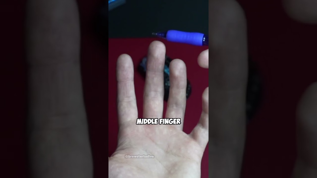 Это лучший размер игровой мыши!! #gaming #brewsterisalive