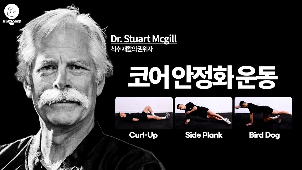 맥길박사의 코어 안정화 운동 가이드, 전반적인 개요