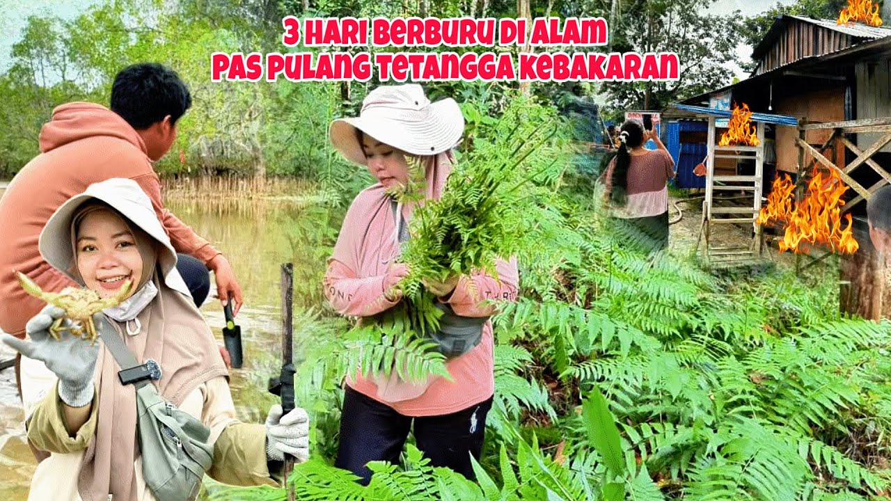 PETUALANGAN 3 HARI MENCARI BAHAN MAKANAN DI ALAM‼️Ditutup Kejadian Kebakaran 