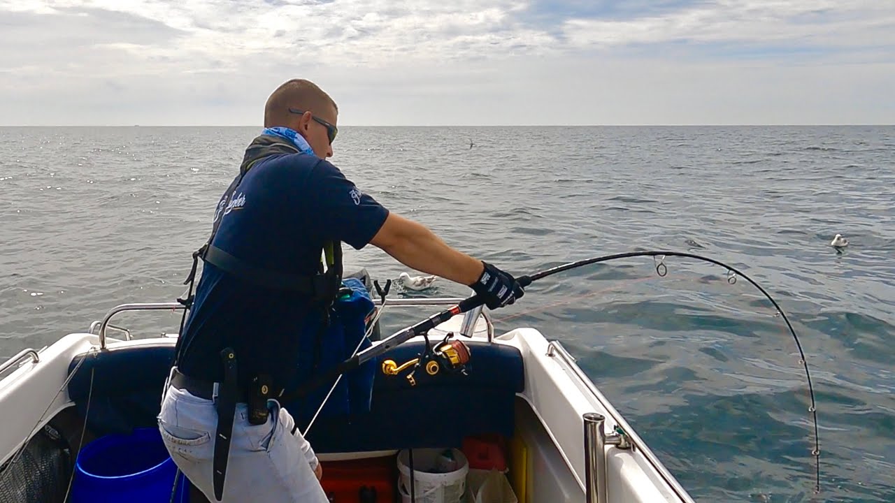 Shark Fishing UK - Deep Sea Fishing for Sharks - Everything you need to know | The Fish Locker