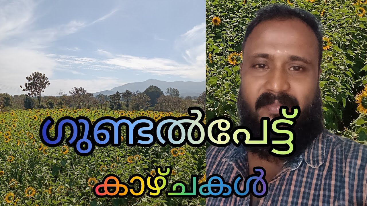 ഗുണ്ടൽപേട്ട് കാഴ്ചകൾ 