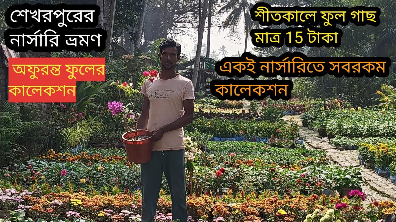 Sekharpur Nursery Visit | Cheapest Prices Of Flower Plants. Indoor &  Season Flower Plants Nursery