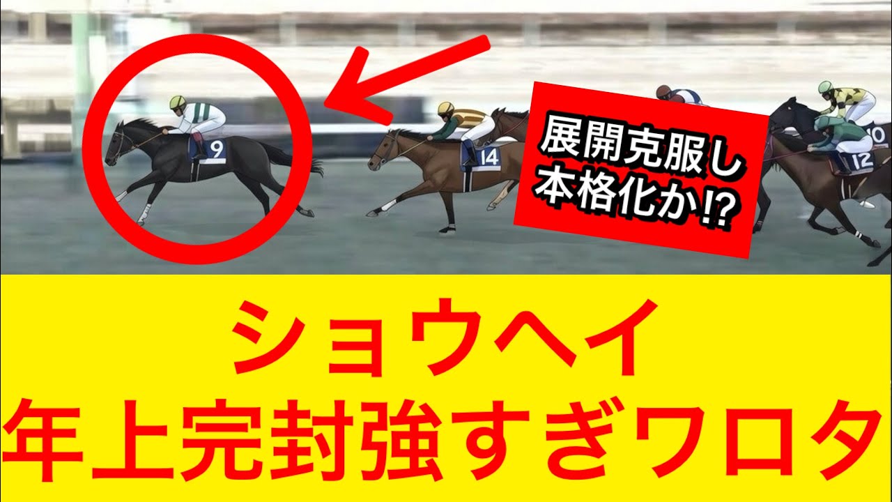 【AJCC2026】ショウヘイが年長馬を相手にせず完勝で重賞制覇！強すぎる…【競馬の反応集】