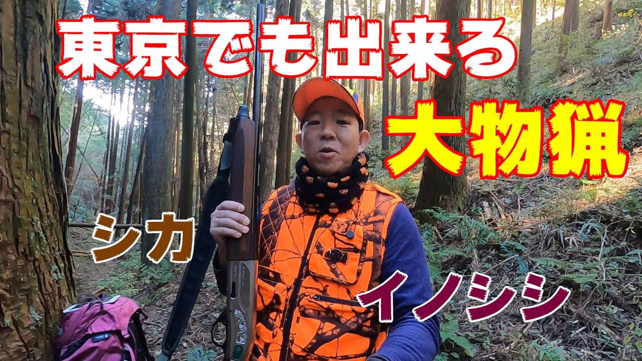 【狩猟解禁】東京でも猪や鹿狩りが出来る‼【巻き狩り】