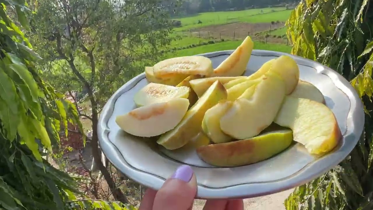 Beautiful sunset with beautiful view of dehradun 🥰🥰